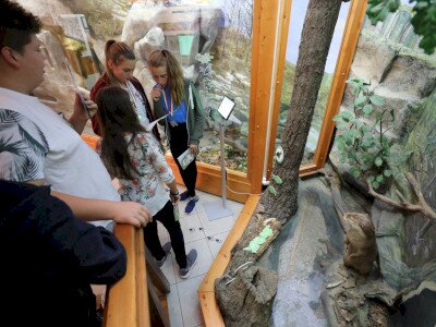 0, 0, 0, 0, 0, 0, 0, 0, 0, 0, 0, 0, 0, 0, 0, 0, 0, 0, 0, 0, 0, 0, 0, 0, 0, 0, 0, 0, 0, 0, 0, 0, 0, 0, 0, 0, 0, 0, 0, 0, 0, 0, 0, 0, 0, 0, 0, 0, 0, 0, 0, 0, 0, 0, 0, 0, 0, 0, 0, 0, 0, 0, 0, 0, 0, 0, 0, 0, 0, 0, 0, 0, 0, 0, 0, 0, 0, 0, 0, 0, 0, 0, 0, 0, 0, 0, 0, 0, 0, 0, 0, 0, 0, 0, 0, 0, 0, 0, 0, 0, 