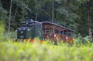 Ehető Erdő Szeleta Szerelvény gasztroexpressz
