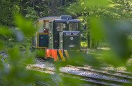 Ehető Erdő Szeleta Szerelvény gasztroexpressz