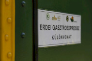 Ehető Erdő Szeleta Szerelvény gasztroexpressz