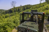 Ehető Erdő Szeleta Szerelvény gasztroexpressz
