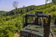 Ehető Erdő Szeleta Szerelvény gasztroexpressz