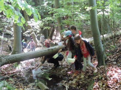                                                                                                                                 