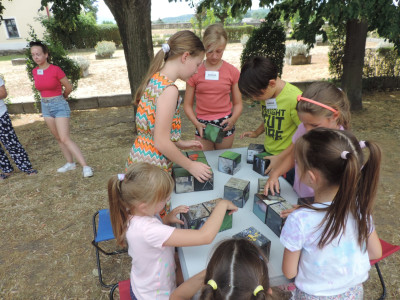                                                                                                                                 