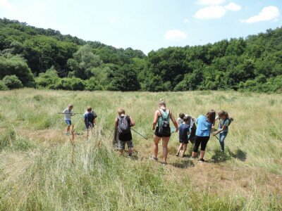                                                                                                                                 