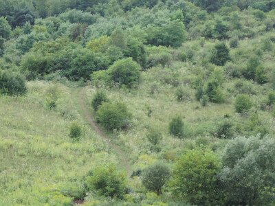                                                                                                                                 