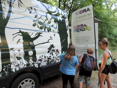                                                                                                                                 