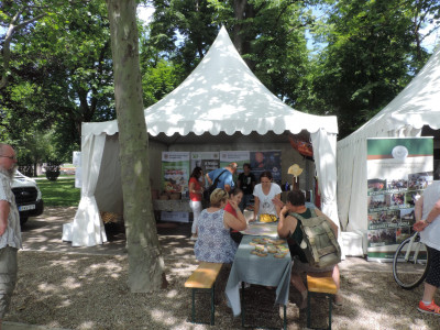                                                                                                                                 