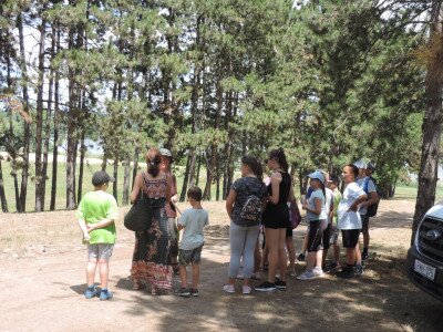                                                                                                                                 