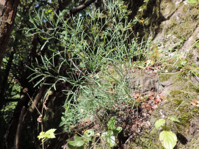                                                                                                                                 