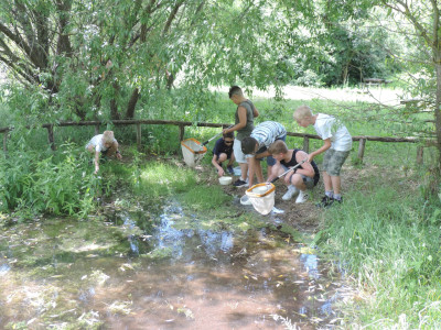                                                                                                                                 