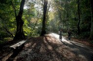 Vezetett e-bike túrák a Szeleta Parkból