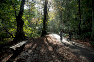 Vezetett e-bike túrák a Szeleta Parkból