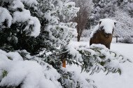 Ipolytarnóci Ősmaradványok bemutatóhely külső