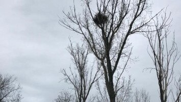 2023/1 6. Eagle’s eggs inventory