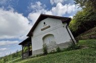 Júniusi madárgyűrűzés a Szitakötő háznál