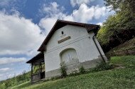 Áprilisi madárgyűrűzés a Szitakötő háznál
