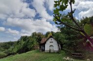 Júniusi madárgyűrűzés a Szitakötő háznál