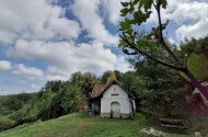 Júniusi madárgyűrűzés a Szitakötő háznál