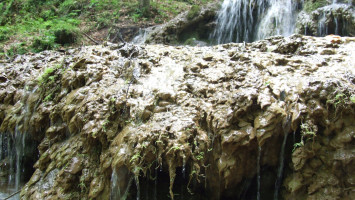 21. THE TRAVERTINE FORMATIONS OF THE SEBES-VÍZ VALLEY 