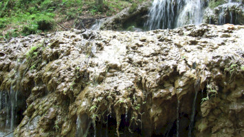 21. THE TRAVERTINE FORMATIONS OF THE SEBES-VÍZ VALLEY 