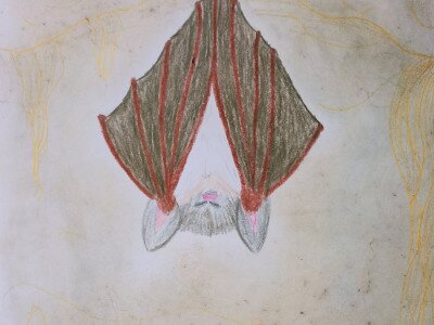                                                                                                                                                                                                                                                                 