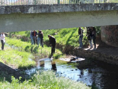                                                                                                                                 