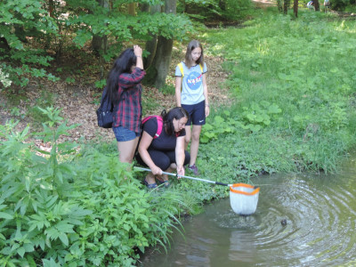 ��������                                                                                                                       �