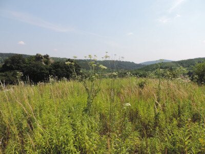 ��������                                                                                                                       �