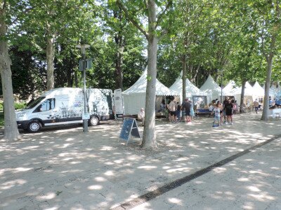                                                                                                                                 