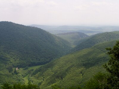                                                                                                                              