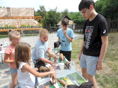                                                                                                                                 