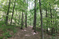 Szilvásvárad - Millenniumi természetismereti és erdészeti bemutató sétaút