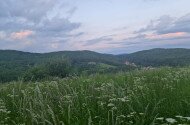 Magyar Nemzeti Parkok Hete - Szakvezetett természetismereti túra a Bolygótúra tanösvényen