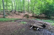 Magyar Nemzeti Parkok Hete - Szakvezetett természetismereti túra a Bolygótúra tanösvényen