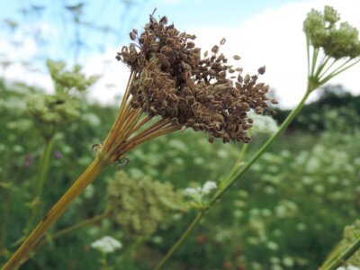                                                                                                                                 