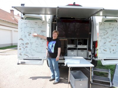                                                                                                                                 