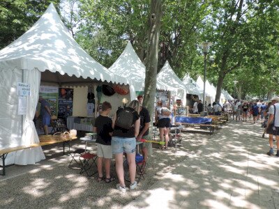                                                                                                                                 