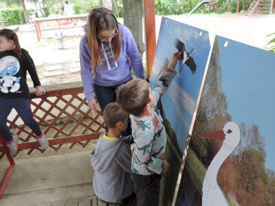                                                                                                                                 