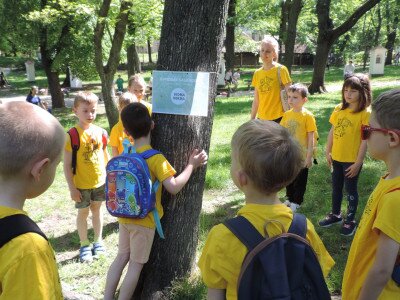                                                                                                                                 