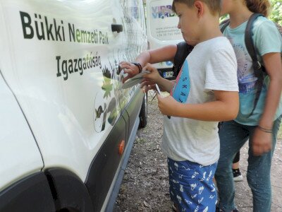                                                                                                                                 