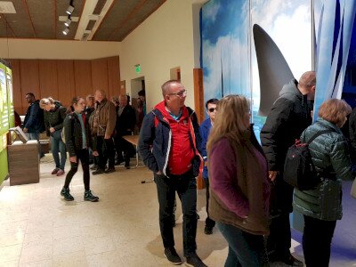              