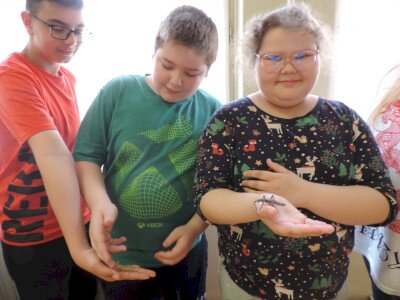                                                                                                                                 