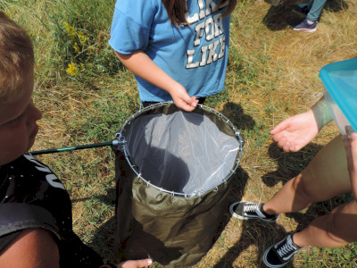                                                                                                                                 