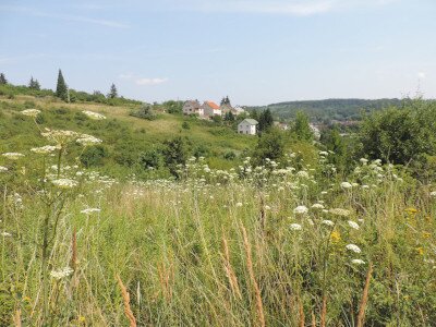                                                                                                                                 