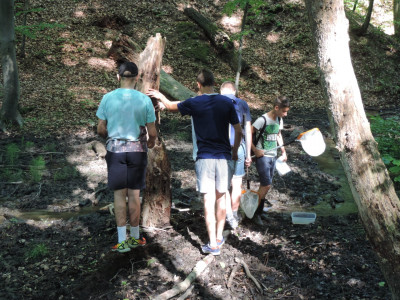 ��������                                                                                                                       �