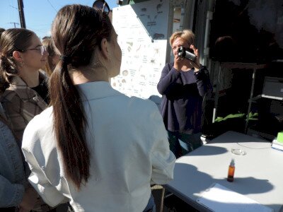                                                                                                                                 