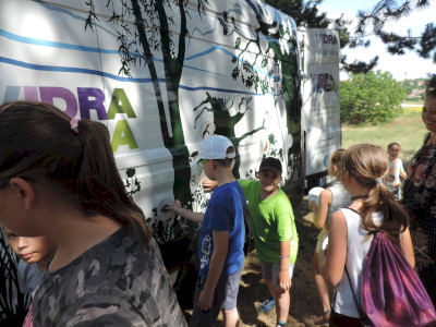                                                                                                                                 