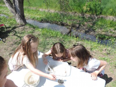                                                                                                                                 