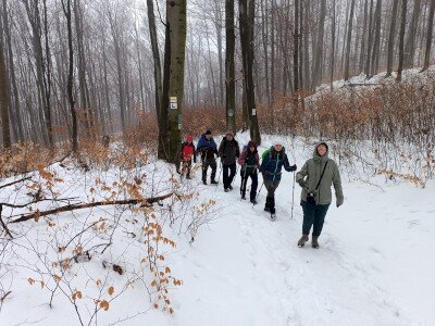 IMG_20260124_114304